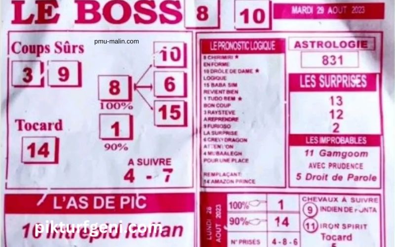 Le Boss du Turf